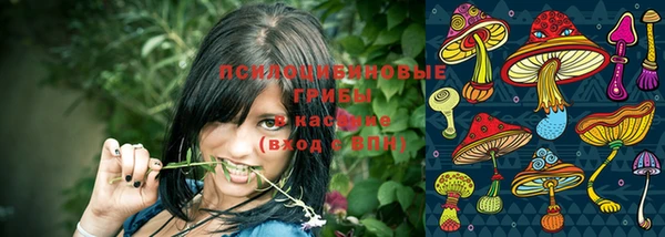 тгк Абаза