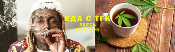 тгк Абаза