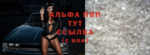 ECSTASY Алзамай