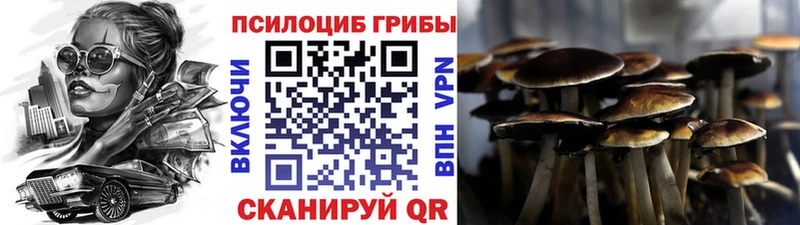 Галлюциногенные грибы GOLDEN TEACHER  магазин  наркотиков  kraken зеркало  нарко площадка клад  Назрань 